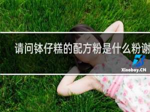 请问钵仔糕的配方粉是什么粉谢谢