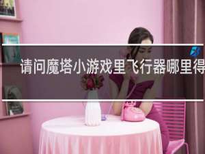 请问魔塔小游戏里飞行器哪里得啊
