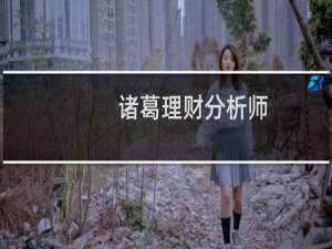 诸葛理财分析师