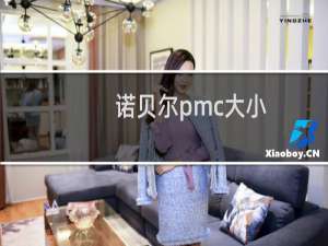 诺贝尔pmc大小