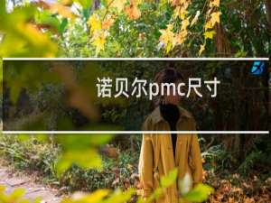 诺贝尔pmc尺寸