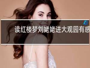 读红楼梦刘姥姥进大观园有感