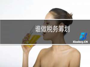 谁做税务筹划