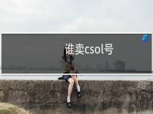 谁卖csol号