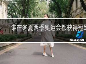 谁在冬夏两季奥运会都获得冠军