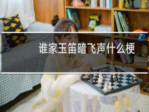 谁家玉笛暗飞声什么梗-「鲸吼社区」