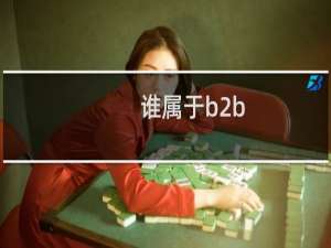 谁属于b2b