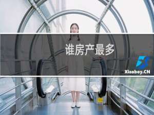 谁房产最多