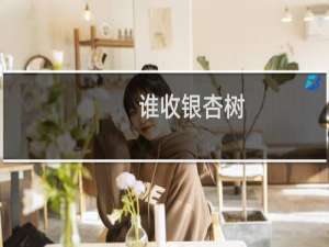 谁收银杏树