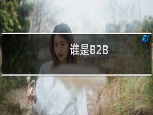 谁是B2B