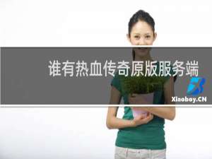 谁有热血传奇原版服务端