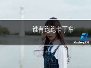 谁有跑跑卡丁车