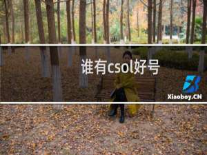 谁有csol好号