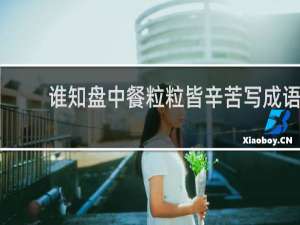 谁知盘中餐粒粒皆辛苦写成语