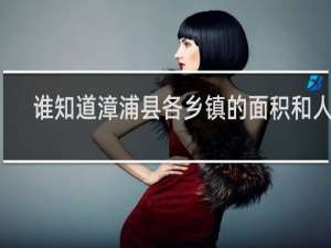 谁知道漳浦县各乡镇的面积和人口