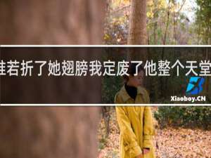 谁若折了她翅膀我定废了他整个天堂什么梗
