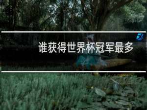 谁获得世界杯冠军最多