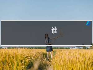 谁  歌词