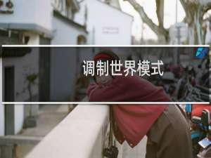 调制世界模式