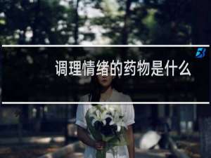 调理情绪的药物是什么