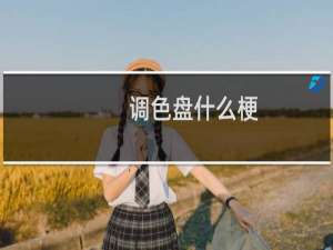 调色盘什么梗