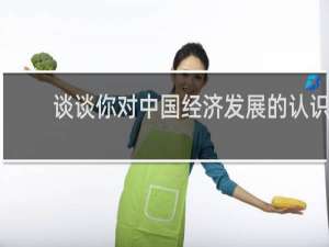谈谈你对中国经济发展的认识
