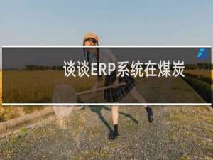 谈谈ERP系统在煤炭企业中的实践
