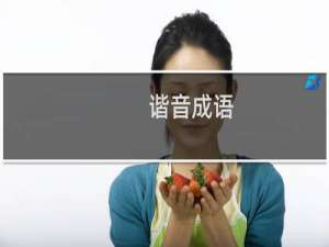 谐音成语