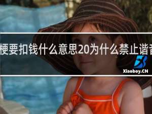 谐音梗要扣钱什么意思 为什么禁止谐音梗什么梗