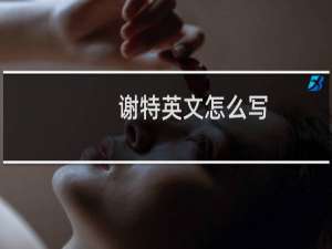 谢特英文怎么写