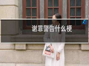 谢罪警告什么梗