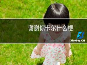 谢谢你卡尔什么梗