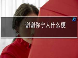 谢谢你宁人什么梗