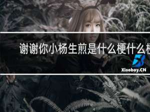 谢谢你小杨生煎是什么梗什么梗