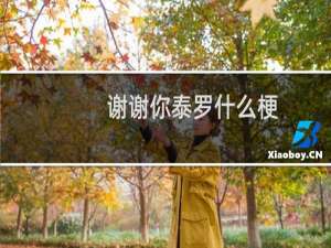 谢谢你泰罗什么梗