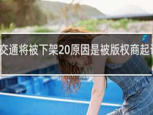 谭谈交通将被下架 原因是被版权商起诉了什么梗