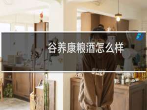 谷养康粮酒怎么样