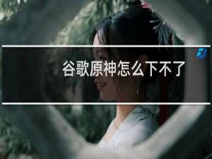 谷歌原神怎么下不了