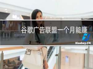 谷歌广告联盟一个月能赚多少