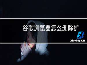 谷歌浏览器怎么删除扩展程序