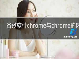 谷歌软件chrome与chrome的区别