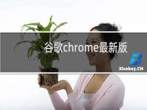 谷歌chrome最新版