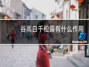 谷雨白千松露有什么作用