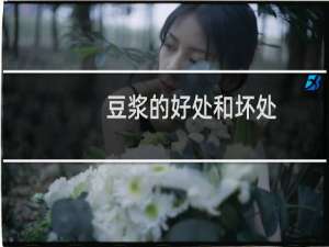 豆浆的好处和坏处（豆浆的好处）