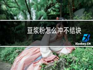 豆浆粉怎么冲不结块