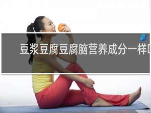 豆浆豆腐豆腐脑营养成分一样吗