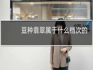 豆种翡翠属于什么档次的翡翠