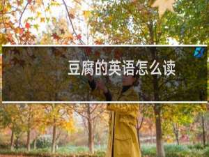 豆腐的英语怎么读