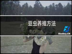 豆虫养殖方法