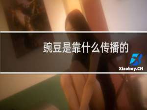 豌豆是靠什么传播的